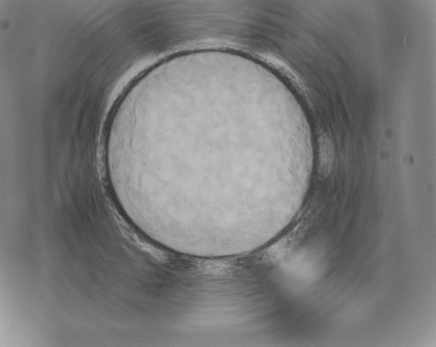 X0000075861278200610151626