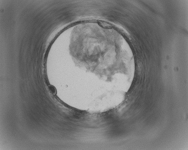 X0000075861279200610151626