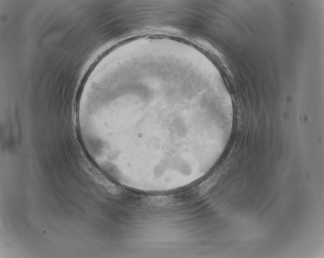 X0000075861280200610151626