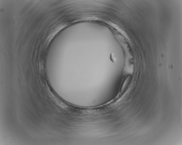 X0000075861281200610151626