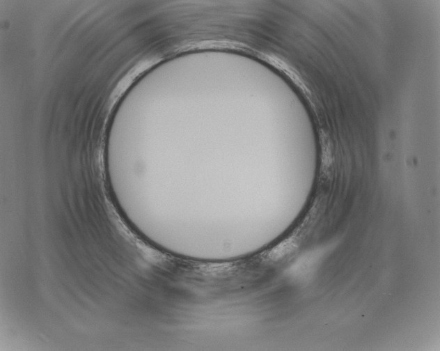 X0000075861282200610151626