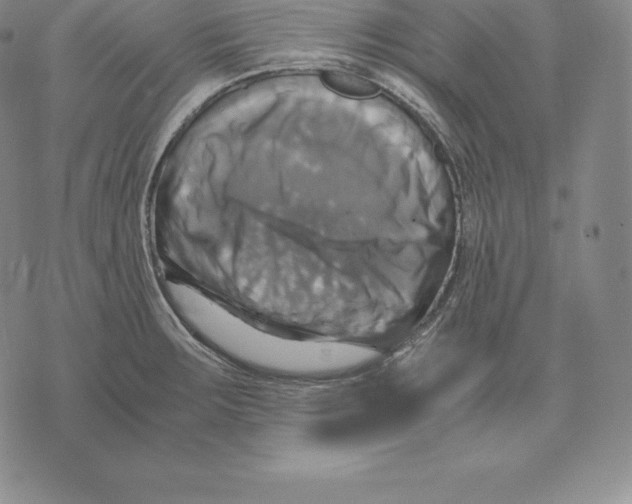 X0000075861283200610151626