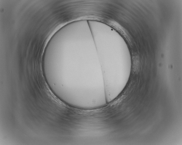 X0000075861284200610151626