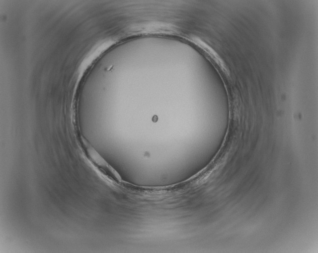 X0000075861285200610151626