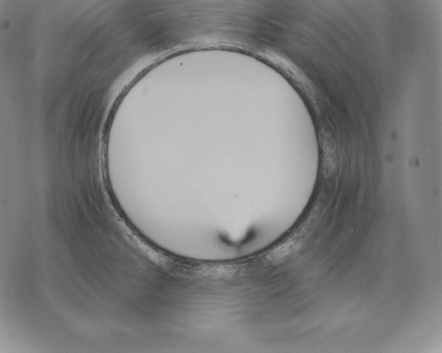 X0000075861286200610151626