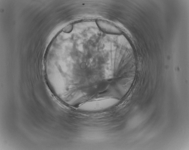 X0000075861287200610151626