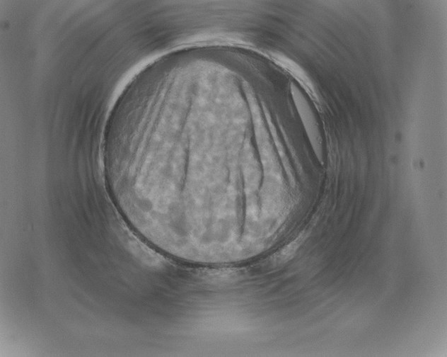 X0000075861288200610151626