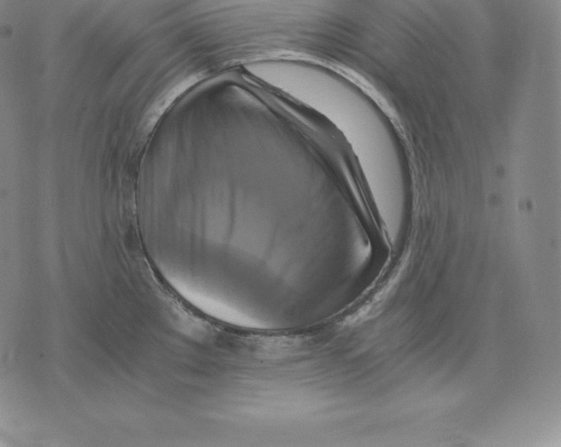 X0000075861289200610151626