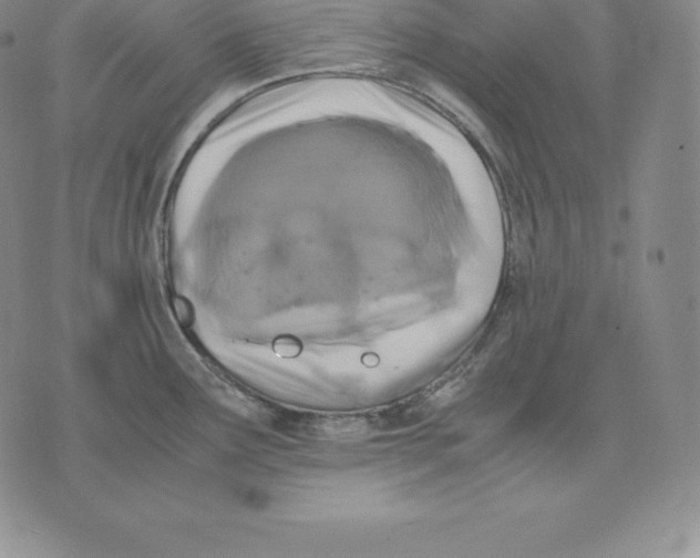 X0000075861291200610151626