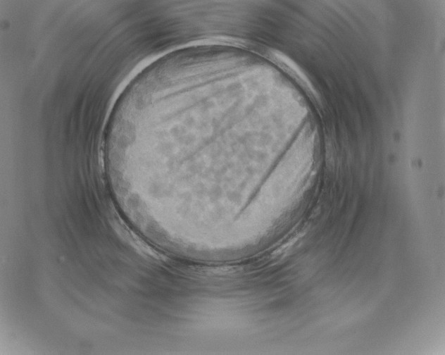 X0000075861292200610151626