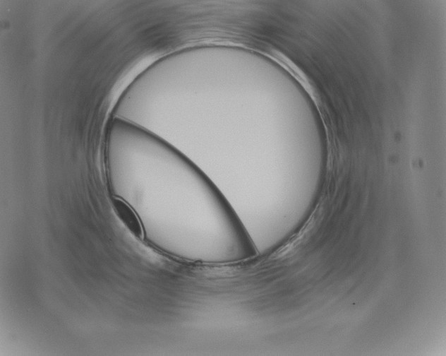 X0000075861293200610151626