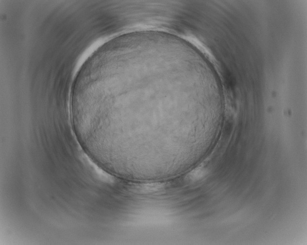 X0000075861294200610151626