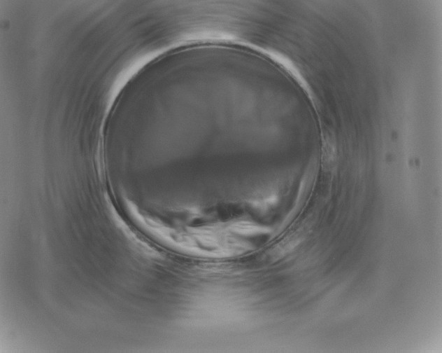 X0000075861295200610151626