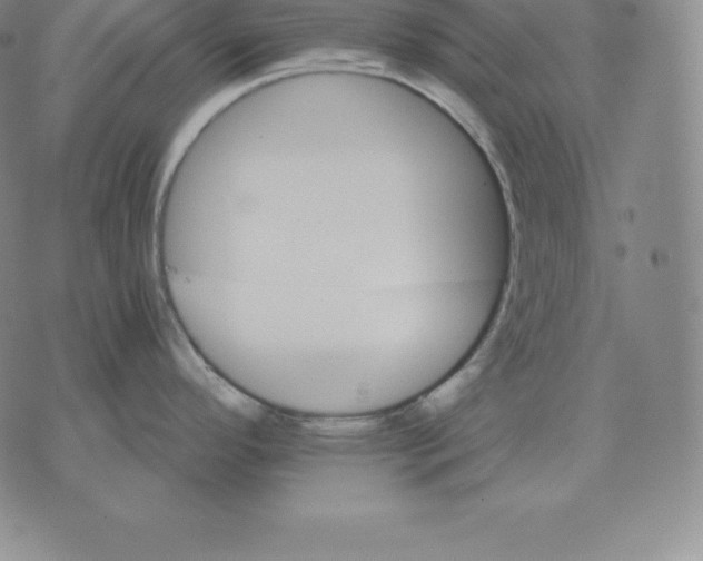 X0000075861296200610151626