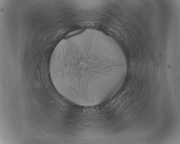 X0000075861297200610151625