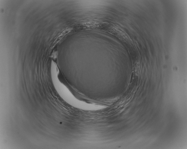 X0000075861298200610151625