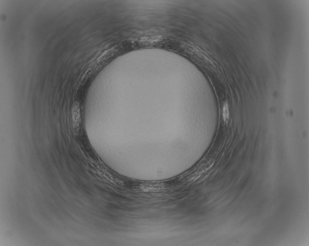 X0000075861299200610151625