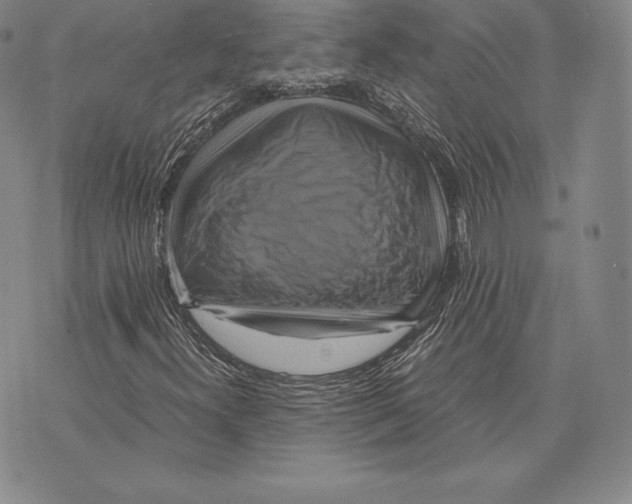 X0000075861300200610151625