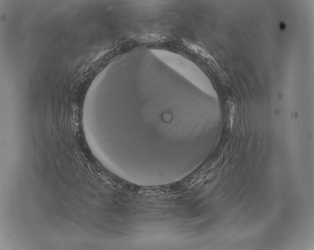 X0000075861301200610151625