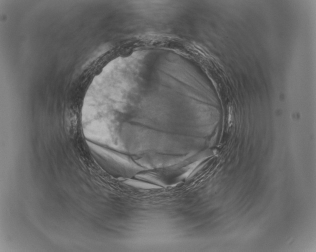 X0000075861302200610151625