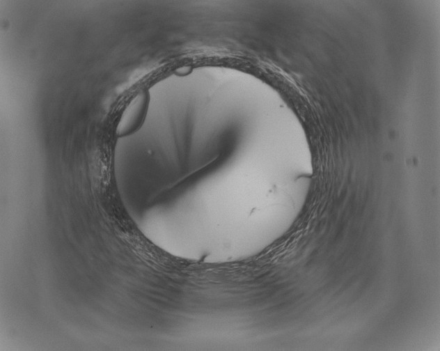 X0000075861303200610151625