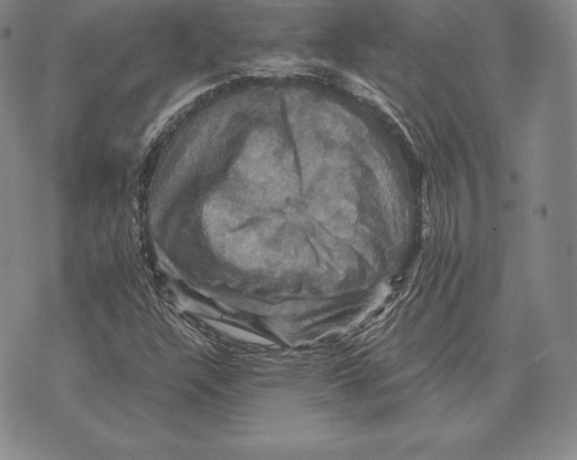 X0000075861304200610151625