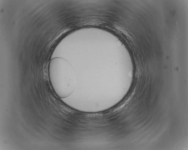 X0000075861305200610151625