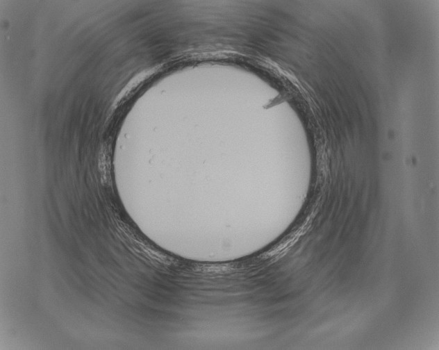 X0000075861306200610151625