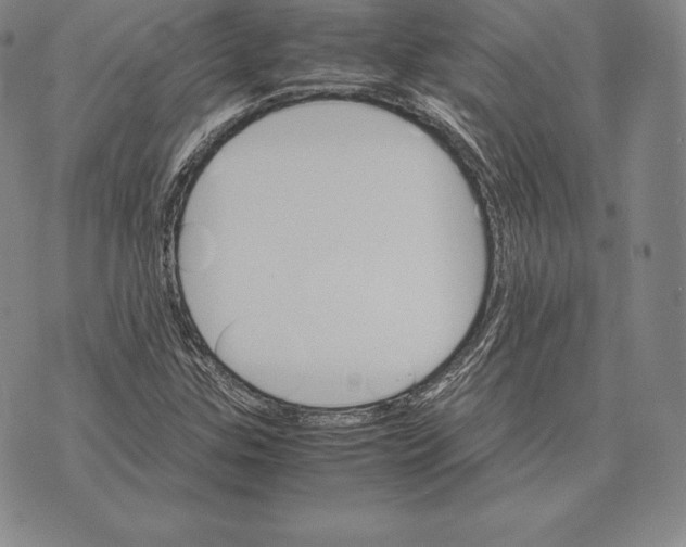 X0000075861307200610151625