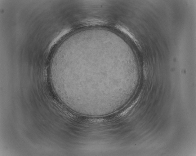 X0000075861309200610151625