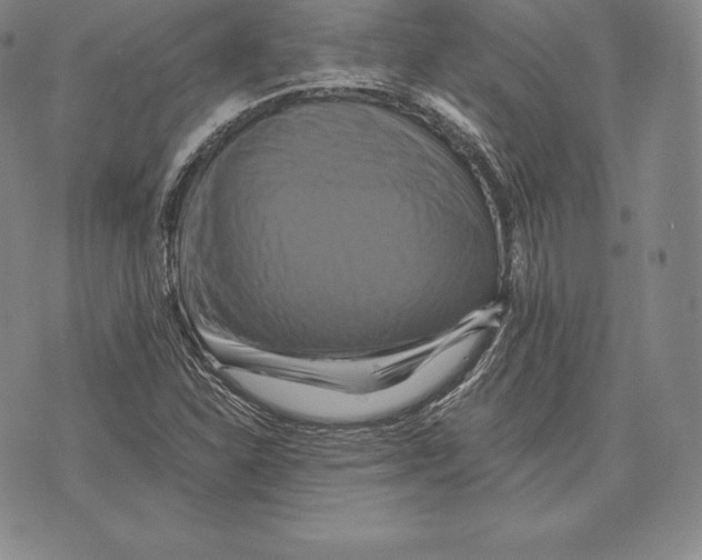 X0000075861310200610151625