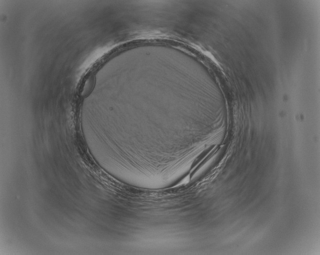 X0000075861311200610151625