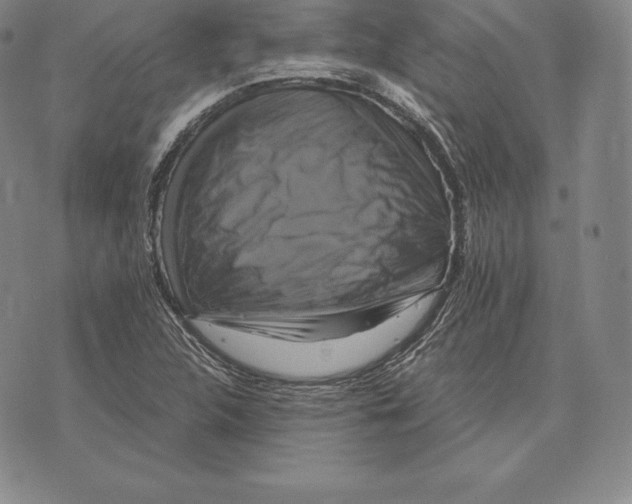 X0000075861312200610151625