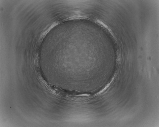 X0000075861313200610151625