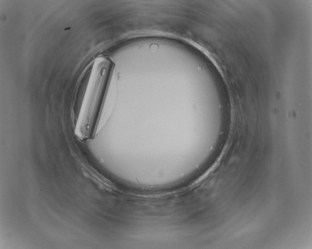 X0000075861314200610151625