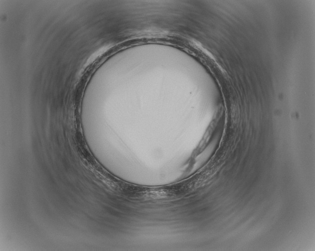 X0000075861315200610151625