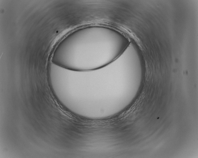 X0000075861316200610151625