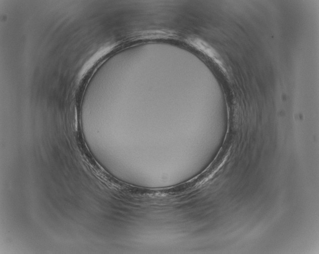 X0000075861317200610151625