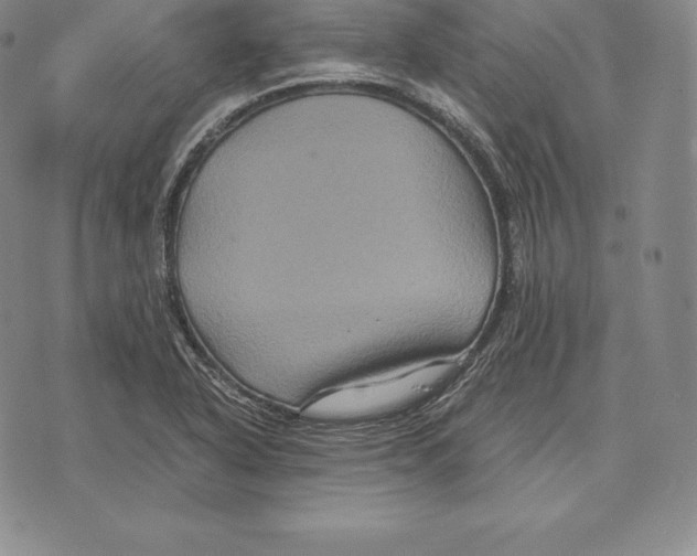 X0000075861318200610151625