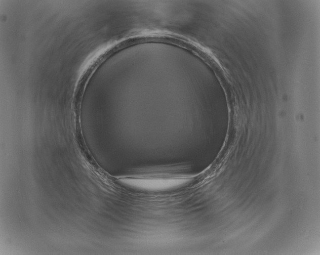 X0000075861319200610151625