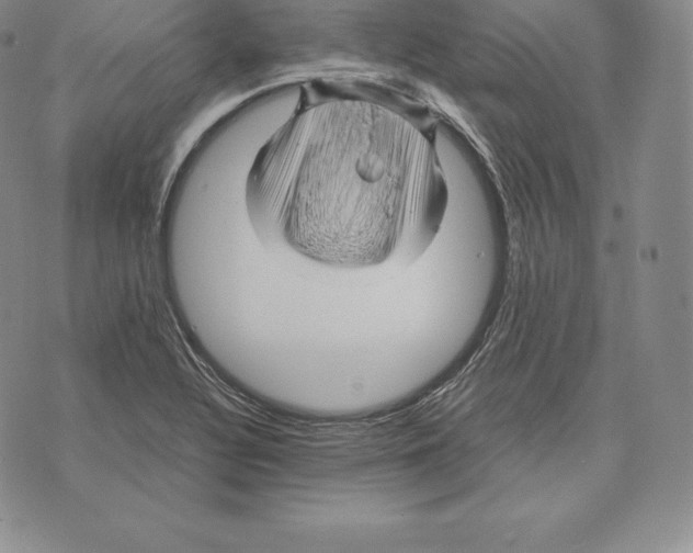 X0000075861320200610151625