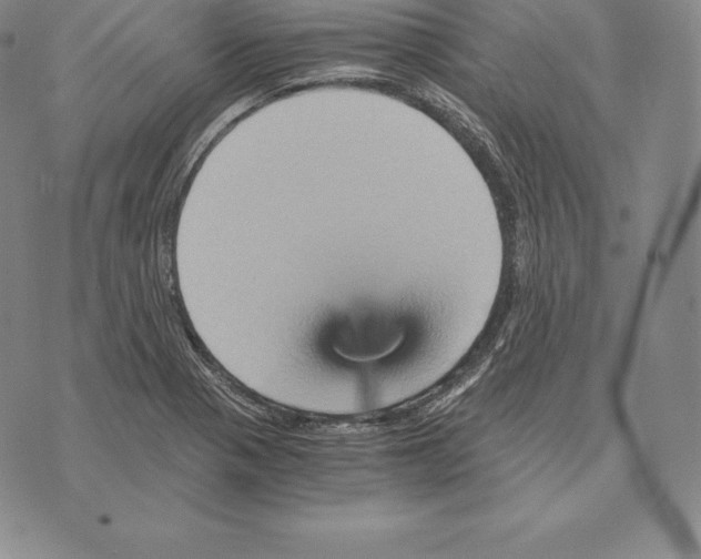 X0000075861321200610151625