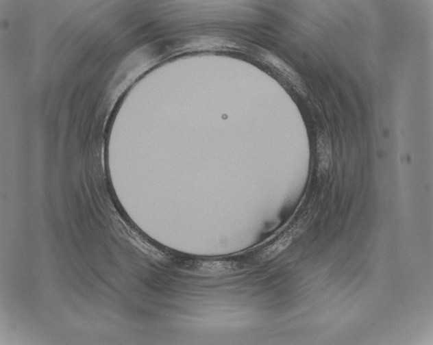 X0000075861322200610151625