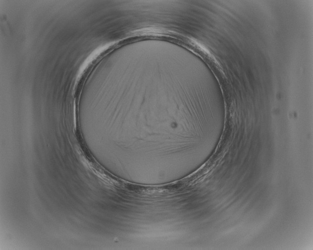 X0000075861323200610151625