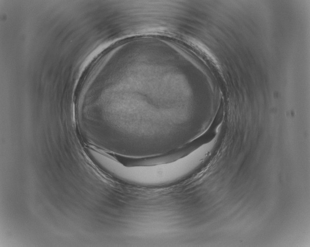 X0000075861324200610151625