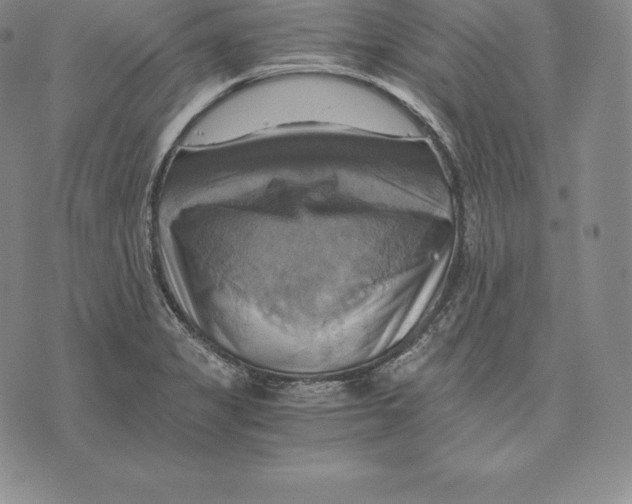 X0000075861325200610151625