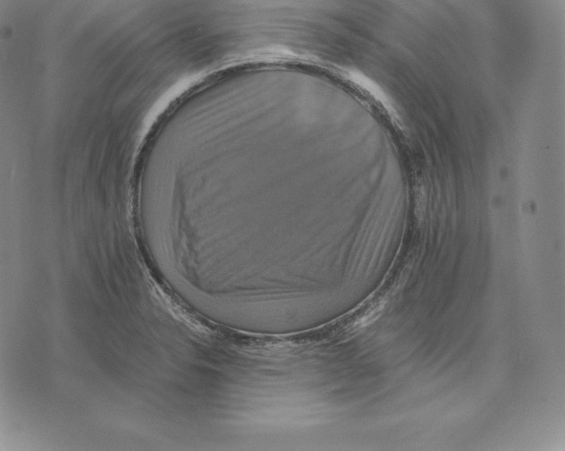 X0000075861326200610151625