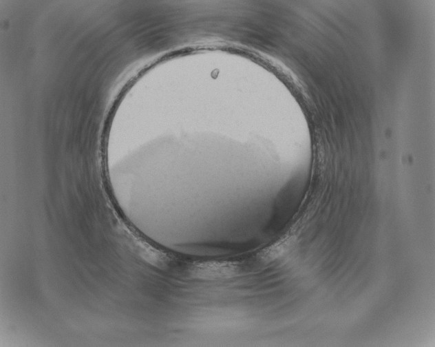 X0000075861327200610151625