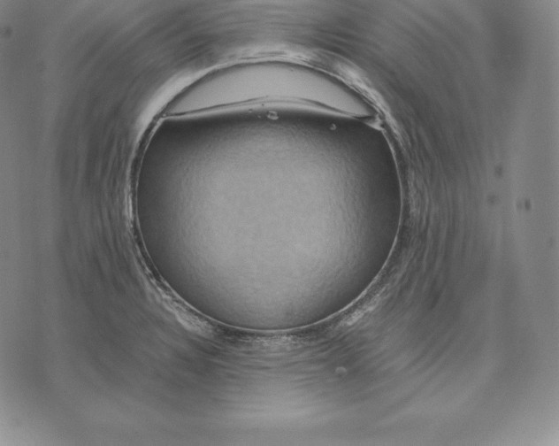 X0000075861328200610151625