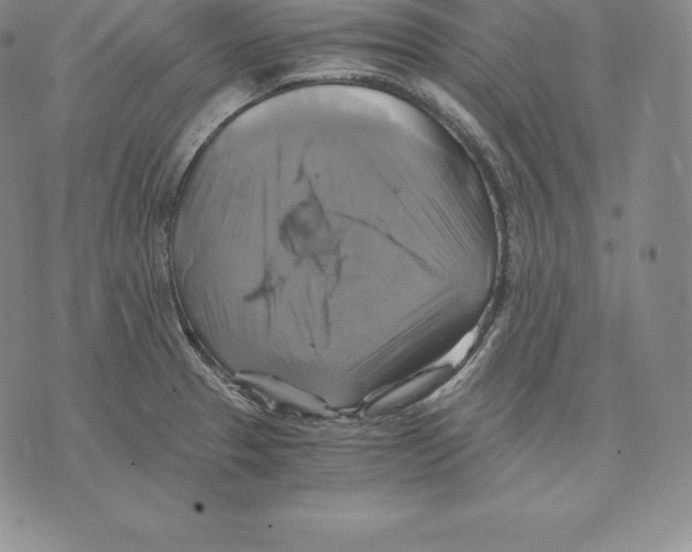 X0000075861329200610151625